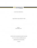 TRABAJO INVESTIGATIVO SOBRE LA ALFABETIZACION