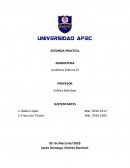 Informe auditoira externa