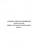 LA BASURA: FUENTE DE CONTAMINACIÓN