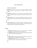 Procesos Cognitivos Básicos