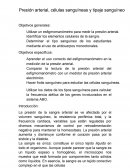 Presión arterial, células sanguíneas y tipaje sanguíneo