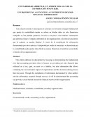 CONTABILIDAD AMBIENTAL, UN APORTE MÁS ALLÁ DE LA INFORMACIÓN FINANCIERA