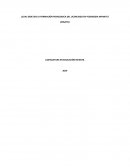 Cual debe ser la formación pedagogica del licenciado en pedagogia infantil?