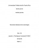 Nociones básicas de la sociología