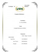 Campaña Publicitaria GAMESA