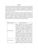 Piña MD2. Exportaciones de Piña