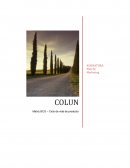 Plan de marketing colun