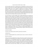 Que son las artes marciales mixtas y su origen