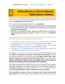 Antropología y sus ramas