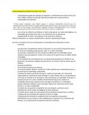 Generación de modelos de negocio notas lectura
