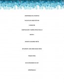 Construccion y diseño estructural