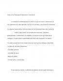 Ensayo de las Estrategias de Importacion y Exportacion