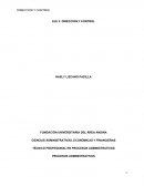 EJE 3: DIRECCIÓN Y CONTROL. ESTUDIO DE CASO TOSTADO