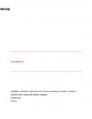 Sistema de gestión integrado caso MATTEL