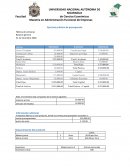 Ejercicio práctico de presupuesto