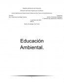 Educacion Ambiental .¿Dónde tuvo origen la educación ambiental?