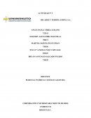 PLAN ESTRATEGICO HILADOS Y TEJIDOS ANDINA S.A