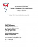 TRABAJO DE EXPERIMENTACION CON UN ANIMAL