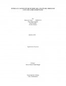 CASO DE ESTUDIO DE MERCADO A TRAVÉS DEL MODELO DE CANVA DE LA IDEA SMARTWASTE