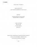 PROYECTO DE AULA ASENTAMIENTO INFORMALES: SANTA ELENA