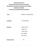 Pirámides de Abraham Maslow