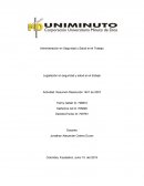 Legislación en seguridad y salud en el trabajo Actividad. Resumen Resolución 1401 de 2007