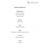 Informe de laboratorio. Procesamiento y análisis fisicoquímico de carne