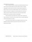 DIMENSIONES DEL SER HUMANO APLICADAS A LA VIDA COTIDIANA