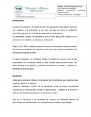 Importancia de la educacion