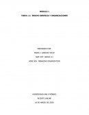 ENSAYO GERENCIA Y ORGANIZACIONES