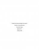 Propuesta de producción limpia a una empresa