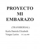 PROYECTO MI EMBARAZO