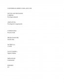 Psicología de la organización. Análisis crítico