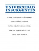 ENSAYO: PYMES MEXICANAS