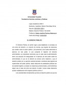 ENSAYO DERECHO PUBLICO