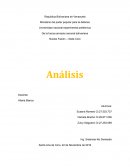Análisis Sistemas de Producción