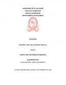 Perfil y Plan de Alimentación