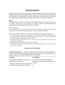 Catalago contable