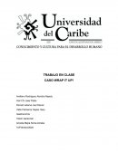 Estudio de caso Wrap It