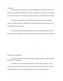 Tarea 1 psicologia organizacional