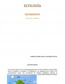 ECOLOGÍA EXPERIMENTO “CICLO DEL CARBONO”