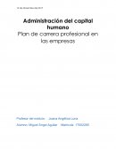 Plan de carrera profesional en las empresas