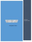 ELEMENTOS QUÍMICOS Y MEDIO AMBIENTE-CUERPO HUMANO
