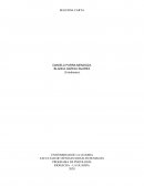 TRABAJO PRESENTABLE DE COMPETENCIA COMUNICATIVA