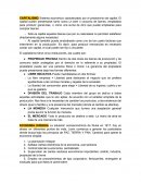 CAPITALISMO . ECONOMÍA DIRIGIDA