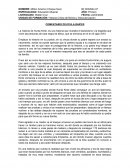 Resumen raices pelicula