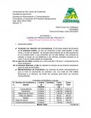 CADENA DE PRODUCCION DEL PROYECTO Toallas Íntimas Femeninas de Tela “Beleza”