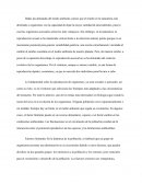 Contaminación y densidad de población