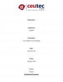 Ensayo del libro El Sueño del Forastero