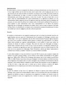 Administracion y profesion